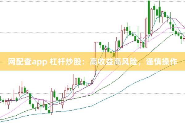 网配查app 杠杆炒股：高收益高风险，谨慎操作