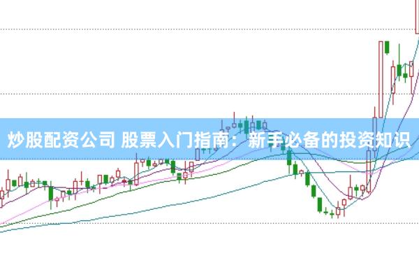 炒股配资公司 股票入门指南：新手必备的投资知识