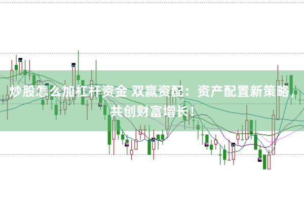 炒股怎么加杠杆资金 双赢资配：资产配置新策略，共创财富增长！
