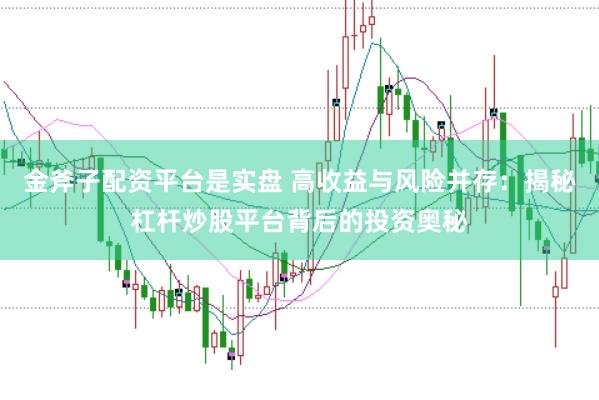 金斧子配资平台是实盘 高收益与风险并存：揭秘杠杆炒股平台背后的投资奥秘