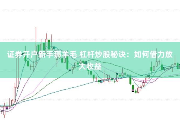 证券开户新手薅羊毛 杠杆炒股秘诀：如何借力放大收益