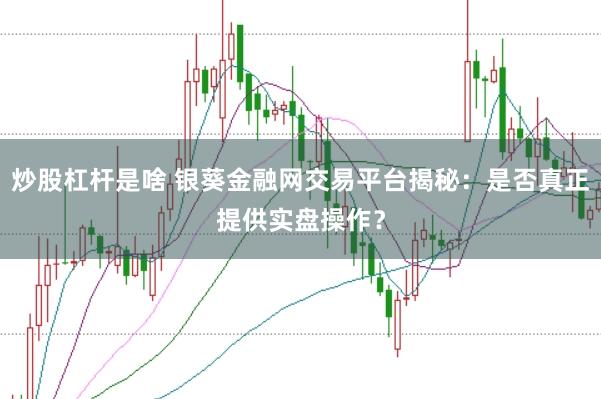 炒股杠杆是啥 银葵金融网交易平台揭秘：是否真正提供实盘操作？