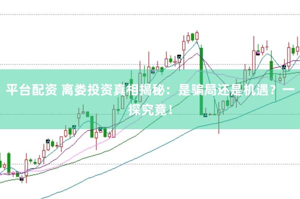 平台配资 离娄投资真相揭秘：是骗局还是机遇？一探究竟！