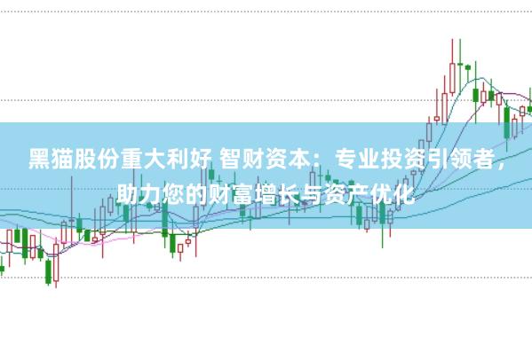 黑猫股份重大利好 智财资本：专业投资引领者，助力您的财富增长与资产优化