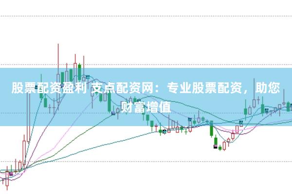 股票配资盈利 支点配资网：专业股票配资，助您财富增值
