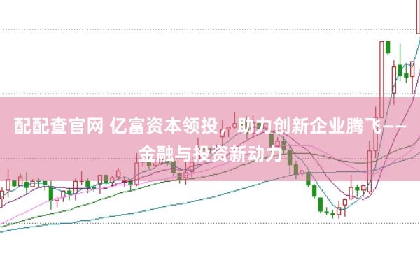配配查官网 亿富资本领投，助力创新企业腾飞——金融与投资新动力