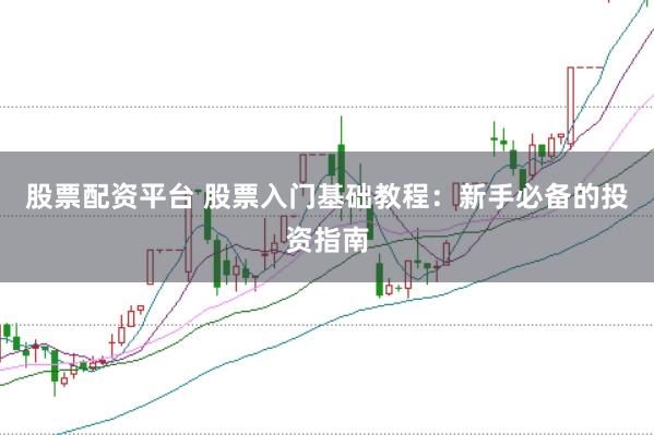 股票配资平台 股票入门基础教程：新手必备的投资指南
