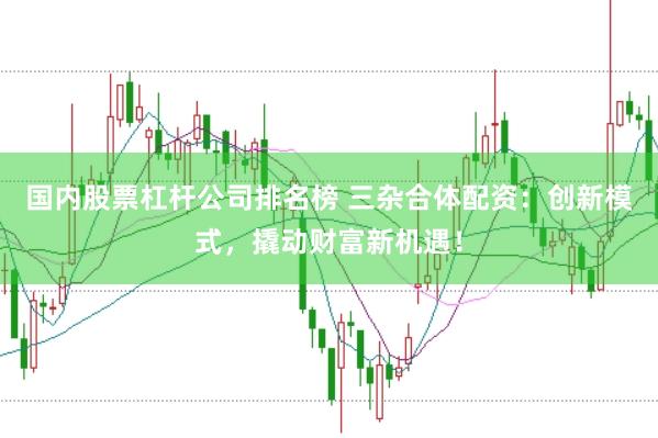 国内股票杠杆公司排名榜 三杂合体配资：创新模式，撬动财富新机遇！