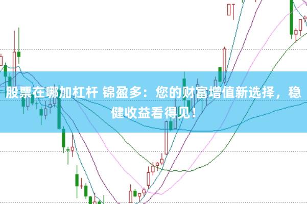 股票在哪加杠杆 锦盈多：您的财富增值新选择，稳健收益看得见！