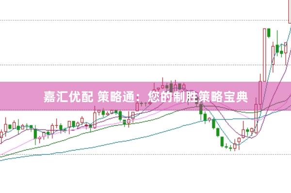 嘉汇优配 策略通：您的制胜策略宝典