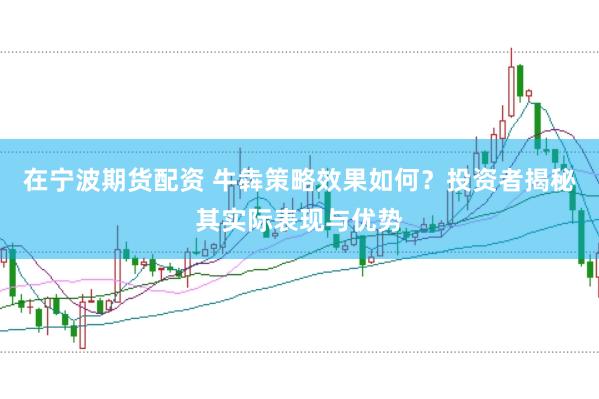 在宁波期货配资 牛犇策略效果如何？投资者揭秘其实际表现与优势