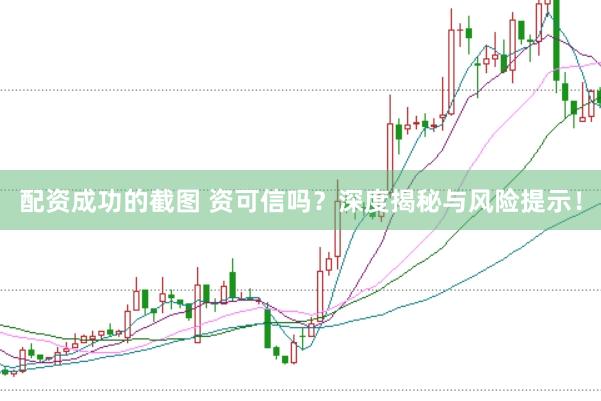 配资成功的截图 资可信吗？深度揭秘与风险提示！