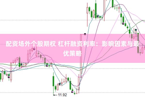配资场外个股期权 杠杆融资利率：影响因素与最优策略
