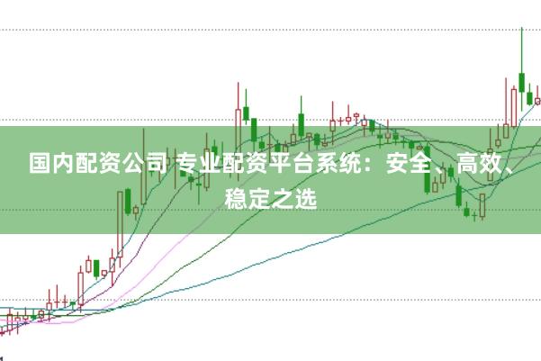 国内配资公司 专业配资平台系统：安全、高效、稳定之选