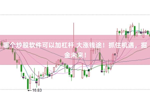 哪个炒股软件可以加杠杆 大涨钱途！抓住机遇，掘金未来！