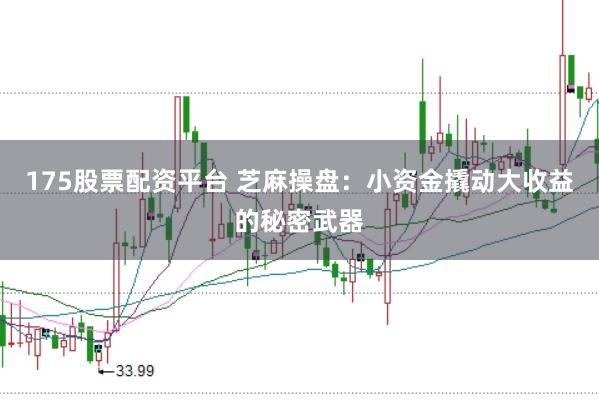 175股票配资平台 芝麻操盘：小资金撬动大收益的秘密武器