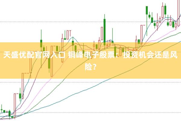 天盛优配官网入口 铜峰电子股票：投资机会还是风险？