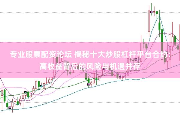 专业股票配资论坛 揭秘十大炒股杠杆平台合约:高收益背后的风险与机遇并存