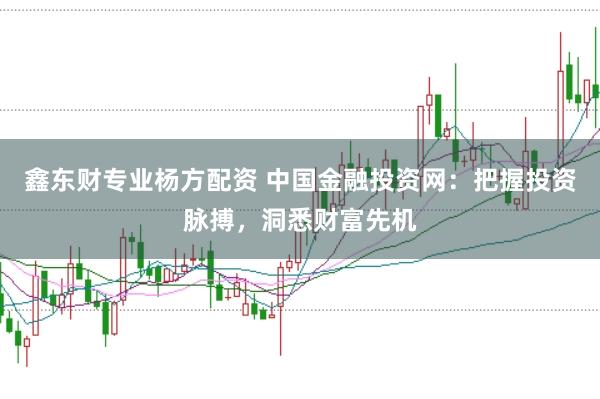 鑫东财专业杨方配资 中国金融投资网:把握投资脉搏,洞悉财富先机