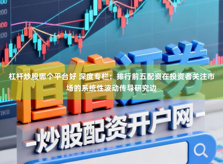杠杆炒股哪个平台好 深度专栏：排行前五配资在投资者关注市场的系统性波动传导研究边
