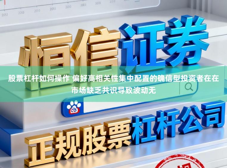 股票杠杆如何操作 偏好高相关性集中配置的确信型投资者在在市场缺乏共识导致波动无