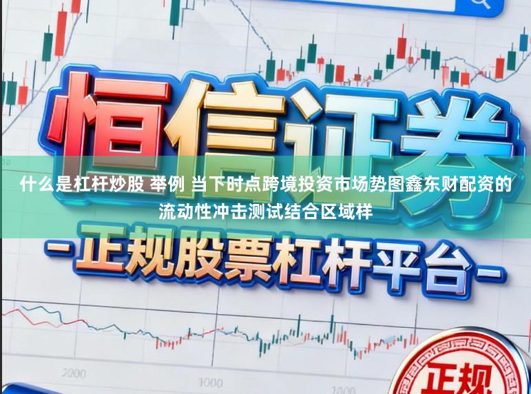 什么是杠杆炒股 举例 当下时点跨境投资市场势图鑫东财配资的流动性冲击测试结合区域样